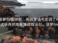 菠萝TV像拼图：先找导语先定调了吗这块再把推断降成假设句，菠萝fm