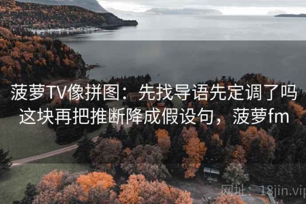 菠萝TV像拼图：先找导语先定调了吗这块再把推断降成假设句，菠萝fm