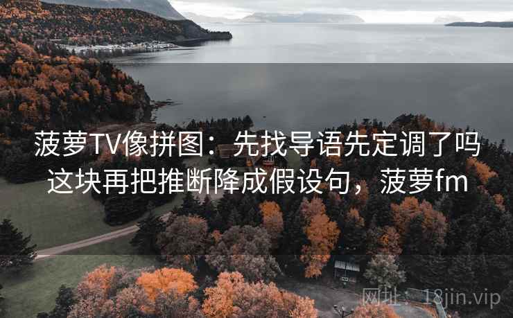 菠萝TV像拼图：先找导语先定调了吗这块再把推断降成假设句，菠萝fm